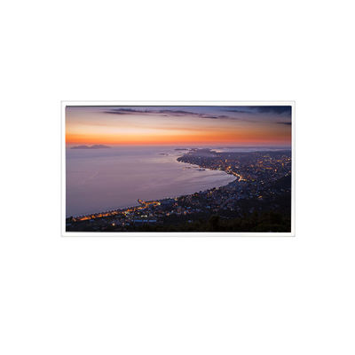 ভালো দাম PV156FHM-N30 15.6 ইঞ্চি 1920*1080 350 cd/m2 WLED LCD প্যানেল শিল্পের জন্য অনলাইন