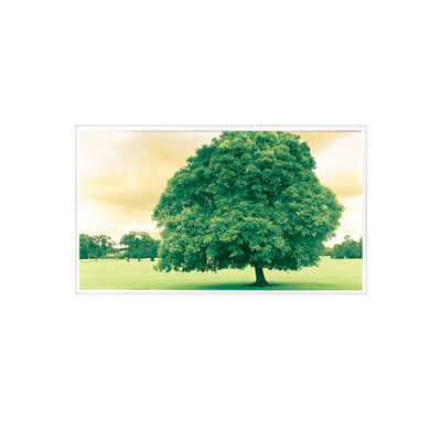 ভালো দাম 1600*1200 TDA150-005V01 15.0 ইঞ্চি 60Hz 1000:1 এলসিডি স্ক্রিন ডিসপ্লে অনলাইন