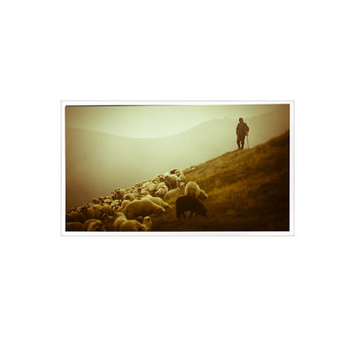 ভালো দাম QV140FHM-N48 14.0 ইঞ্চি 1920*1080 800:1 60Hz eDP 30 পিন এলসিডি স্ক্রিন অনলাইন