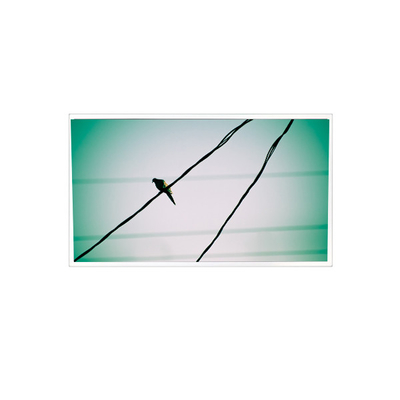 ভালো দাম TDA104-001V01 10.4 ইঞ্চি 1024*768 1000:1 এলভিডিএস এলসিডি প্যানেল প্রদর্শন শিল্পের জন্য অনলাইন