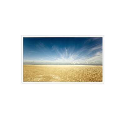 ভালো দাম 800*1280 10.1 ইঞ্চি টিভি101WXM-NM0 500 cd/m2 প্যাড ট্যাবলেটের জন্য এলসিডি প্যানেল অনলাইন