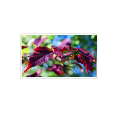 ভালো দাম TV116FHM-N00 1920*1080 11.6 ইঞ্চি 60Hz 40 পিন LCD প্যানেল স্ক্রিন মনিটর অনলাইন