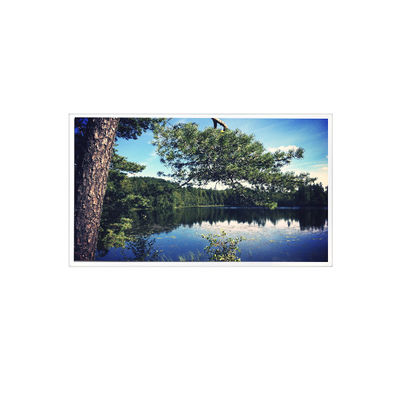 ভালো দাম 1024*768 15.0 ইঞ্চি TDA150-002 LVDS 700 cd/m2 এলসিডি স্ক্রিন অনলাইন