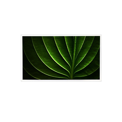 ভালো দাম TAD201-001 20.1 ইঞ্চি 1600*1200 450 cd/m2 60Hz এলসিডি স্ক্রিন শিল্পের জন্য অনলাইন