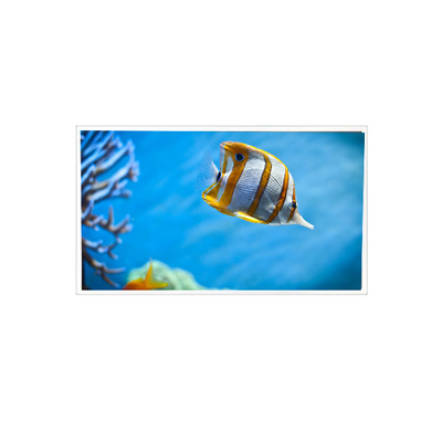ভালো দাম 7.1 ইঞ্চি RV071Y4G-N00 768*768 ইন্ডাস্ট্রিয়ালের জন্য এলসিডি স্ক্রিন প্রদর্শন অনলাইন