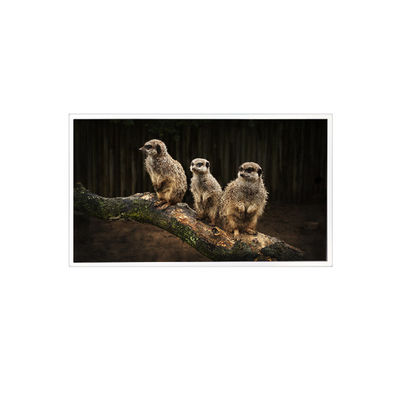 ভালো দাম RV150U0M-NI0 1600*1200 15.0 ইঞ্চি এলসিডি স্ক্রিন প্যানেল প্রদর্শন অনলাইন