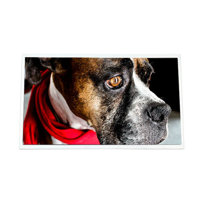 ভালো দাম M170EGE-L20 Rev.C3 17.0 ইঞ্চি 1280*1024 12S4PWLED এলসিডি স্ক্রিন প্যানেল অনলাইন