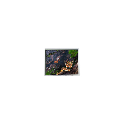 ভালো দাম 5.7 ইঞ্চি PD057VU8 640*480 ইন্ডাস্ট্রিয়ালের জন্য 60Hz এলসিডি স্ক্রিন অনলাইন