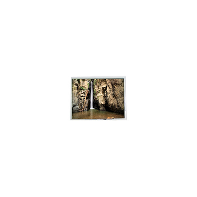 ভালো দাম 800*600 PD104SLJ 10.4 ইঞ্চি 400 cd/m2 60Hz এলসিডি স্ক্রিন প্রদর্শন অনলাইন
