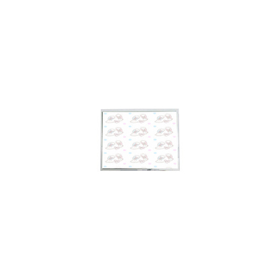 ভালো দাম MiNi 800*480 5.0 ইঞ্চি AM-800480KAZTMQW-15H এলভিডিএস এলসিডি প্যানেল প্রদর্শন অনলাইন