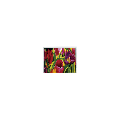 ভালো দাম AM-800480LATMQW-TN0H-L 800*480 5.0 ইঞ্চি 3S6P WLED এলসিডি প্যানেল অনলাইন
