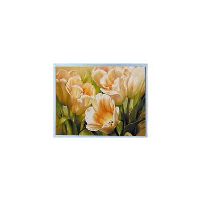 ভালো দাম 9.0 ইঞ্চি 1024*600 AM-1024600Y2TZQW-A0H TFT 1200 cd/m2 এলসিডি স্ক্রিন প্যানেল অনলাইন