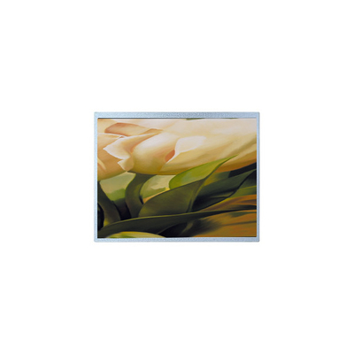 ভালো দাম AM-1024600YTZQW-00H 1024*600 9.0 ইঞ্চি টিএফটি 500 সিডি/মি2 এলসিডি স্ক্রিন প্যানেল অনলাইন