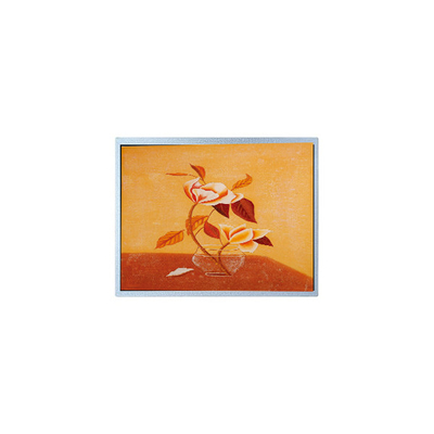 ভালো দাম নতুন 15.0 ইঞ্চি AM-1024768Q2TMQW-00H TFT LCD স্ক্রিন ইন্ডাস্ট্রিয়াল জন্য অনলাইন
