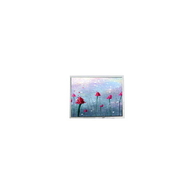 ভালো দাম 5.২ ইঞ্চি DMF5005N-SEW-ABE-CP 240*64 70Hz এলসিডি স্ক্রিন অনলাইন