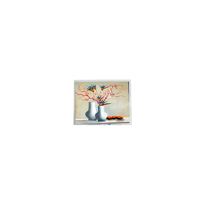 ভালো দাম নতুন 5.2 ইঞ্চি DMF5010NB-FW-BC 400 cd/m2 LCD স্ক্রিন ডিসপ্লে মডিউল অনলাইন