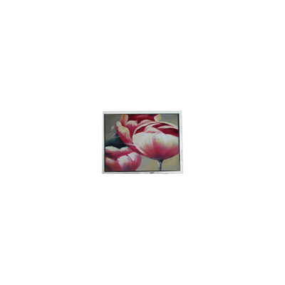 ভালো দাম মূল 240*64 DMF5010NF-FW-BE 5.2 ইঞ্চি 70Hz LCD প্যানেল অনলাইন