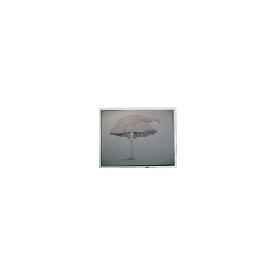 ভালো দাম 9.4 ইঞ্চি DMF-51043NFU-FW 640*480 এলসিডি স্ক্রিন প্যানেল অনলাইন