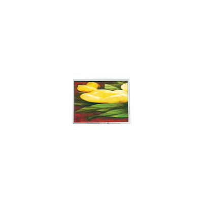 ভালো দাম নতুন 5.7 ইঞ্চি T-55265GD057J-LW-ABN 320*240 33 পিন এলসিডি স্ক্রিন অনলাইন
