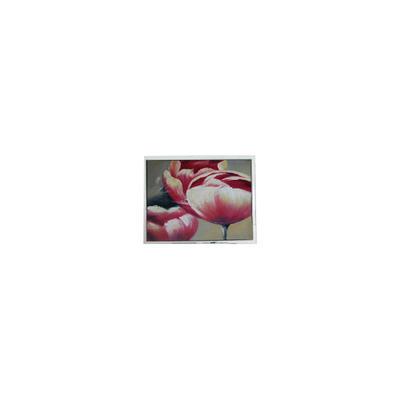 ভালো দাম নতুন T-55548GD057JU-LW-AAN 5.7 ইঞ্চি 262K এলসিডি স্ক্রিন অংশ অনলাইন