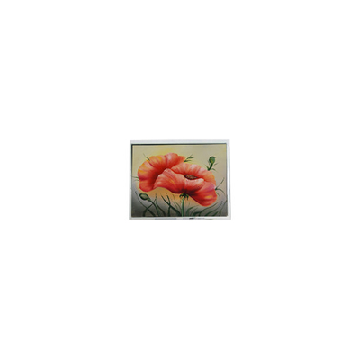 ভালো দাম T-55548GD057JU-LW-ACN 5.7 ইঞ্চি টাচ এলসিডি স্ক্রিন প্যানেল অনলাইন