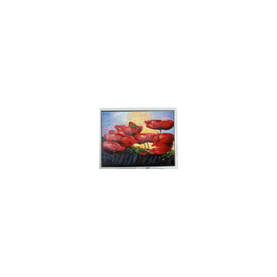 ভালো দাম গরম বিক্রয় 6.5 ইঞ্চি 640*480 T-55629D065J-LW-A-ABN এলসিডি স্ক্রিন প্যানেল প্রদর্শন অনলাইন