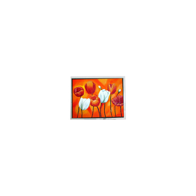 ভালো দাম T-55644D090J-LW-A-AAN 9.0 ইঞ্চি 1280 * 768 LCD স্ক্রিন ইন্ডাস্ট্রিয়াল জন্য অনলাইন
