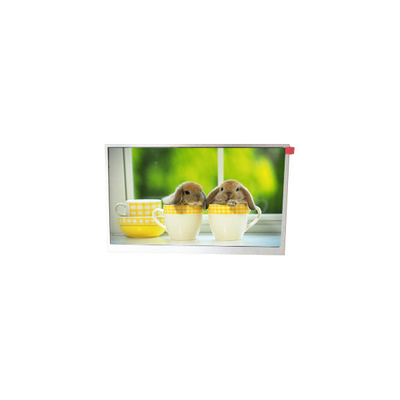 ভালো দাম TM090RDSG06 9.0 ইঞ্চি 800*480 WLED এলসিডি স্ক্রিন মনিটর অনলাইন