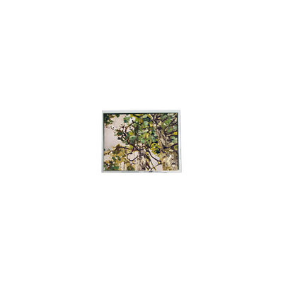 ভালো দাম CLAA070LFA6 CW 7.0 ইঞ্চি 800 * 480 অটোমোটিভ জন্য এলসিডি স্ক্রিন অনলাইন