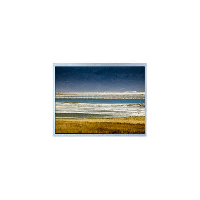 ভালো দাম 10.1 ইঞ্চি HSD101GWW5-A00-0220 1280*800 এলসিডি ডিসপ্লে প্যানেল মডিউল অনলাইন