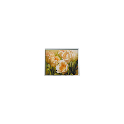 ভালো দাম গরম বিক্রয় 5.0 ইঞ্চি COM50T5117GTC 320*240 67 পিন এলসিডি স্ক্রিন অনলাইন