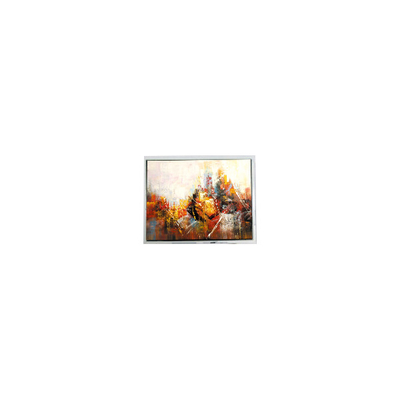 ভালো দাম ছোট 640*480 COM57H5M86KLC 5.7 ইঞ্চি 45 পিন 60Hz এলসিডি প্যানেল অনলাইন