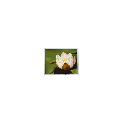 ভালো দাম 640*480 5.7 ইঞ্চি COM57H5M87KTC 262K 60Hz এলসিডি টাচ ডিসপ্লে অনলাইন