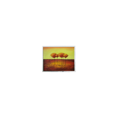 ভালো দাম স্টক 6.5 ইঞ্চি COM65H6115DLC 640*480 60Hz LCD প্যানেল অনলাইন