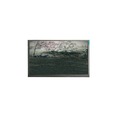 ভালো দাম P101GWN9 R0 10.1 ইঞ্চি 1024*600 262K 500:1 এলসিডি প্যানেল উচ্চ মানের অনলাইন