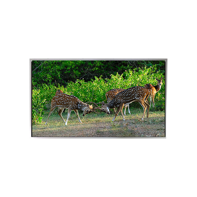 ভালো দাম গরম বিক্রয় 21.3 ইঞ্চি 1200 * 1600 P213UXF1MA10 এলভিডিএস এলসিডি মনিটর অনলাইন