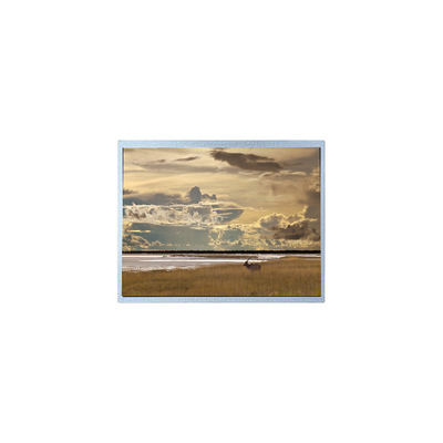 ভালো দাম মূল 43 ইঞ্চি P430HVN05.1 1500 cd/m2 LCD স্ক্রিন lcd প্যানেল অনলাইন