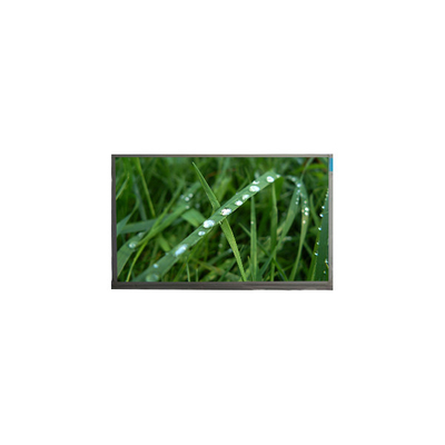 ভালো দাম 10.1 ইঞ্চি এলসিডি স্ক্রিন N101BGE-L31 262K এলসিডি মনিটর অনলাইন