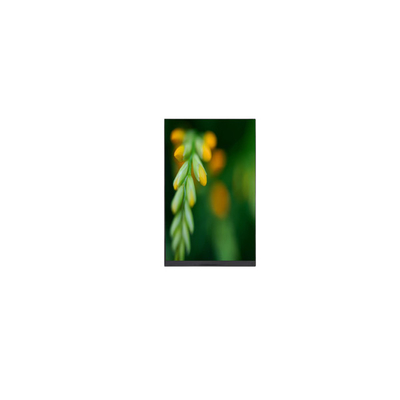 ভালো দাম P080DCE-3F0 800*1280 প্যাড ট্যাবলেট সহ 8.0 ইঞ্চি এলসিডি স্ক্রিন অনলাইন