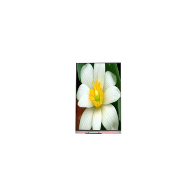 ভালো দাম PJ052IC-01C 5.2 ইঞ্চি 1080*1920 এলসিডি স্ক্রিন ডিসপ্লে প্যানেল অনলাইন