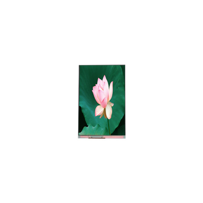 ভালো দাম 1080*1920 PJ055IA-14A 5.5 ইঞ্চি 60Hz LCD স্ক্রিন LCD মডিউল অনলাইন