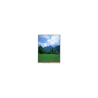 ভালো দাম PP057IC-01A 5.7 ইঞ্চি 1080*1920 এলসিডি স্ক্রিন এলসিডি প্যানেল অনলাইন