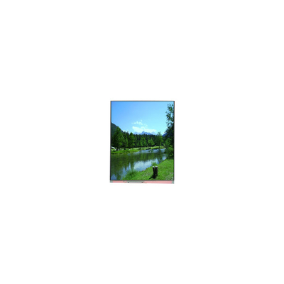 ভালো দাম PP059JC-01B 1080*2160 5.9 ইঞ্চি LCD স্ক্রিন নতুন অনলাইন