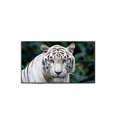 ভালো দাম B121EW05 V2 12.1 ইঞ্চি ল্যাপটপের জন্য নতুন আগমনের এলসিডি স্ক্রিন প্রদর্শন অনলাইন