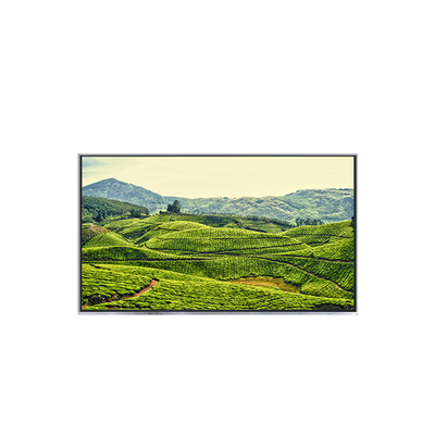 ভালো দাম B140RW01 V0 14.0 ইঞ্চি 1600 * 900 ল্যাপটপ এলসিডি স্ক্রিন প্রদর্শন অনলাইন