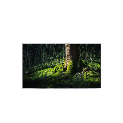 ভালো দাম B154EW02 V0 HW1A ল্যাপটপের জন্য 15.4 ইঞ্চি এলসিডি ডিসপ্লে প্রতিস্থাপন অনলাইন