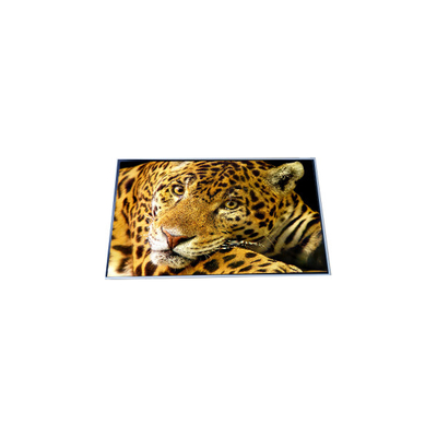 ভালো দাম P500QVF02.0 50.0 ইঞ্চি 4K এলসিডি স্ক্রিন ডিসপ্লে অনলাইন