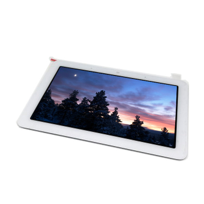 ভালো দাম নতুন 7.0 ইঞ্চি TV070WSM-TG1 600*1024 এলসিডি ডিসপ্লে প্যানেল অনলাইন