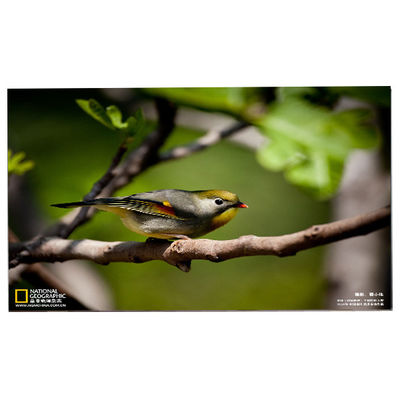 ভালো দাম 24.0 ইঞ্চি 1920*1200 M240UAN02.1 সেল এলসিডি স্ক্রিন প্রদর্শন অনলাইন