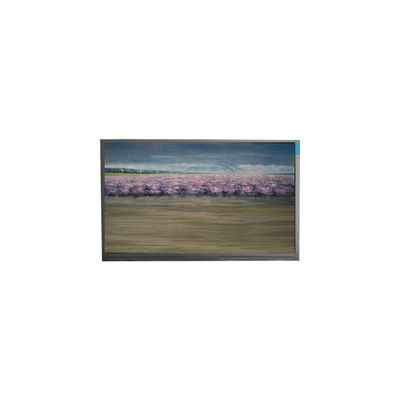 ভালো দাম U060SWR8-0 6.0 ইঞ্চি 720*1440 মোবাইল ফোনের জন্য এলসিডি স্ক্রিন ডিসপ্লে অনলাইন